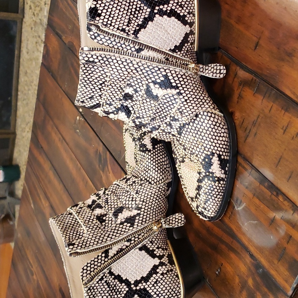 Chloe Snakeskin Ankle Boots with Gold Buckles - Picture 14 of 16